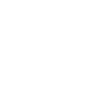 Ticks
